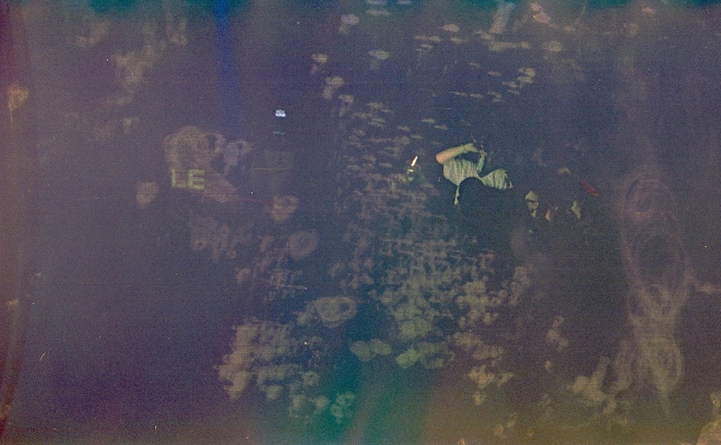 61 FRONTLINE FESTIVAL 2023